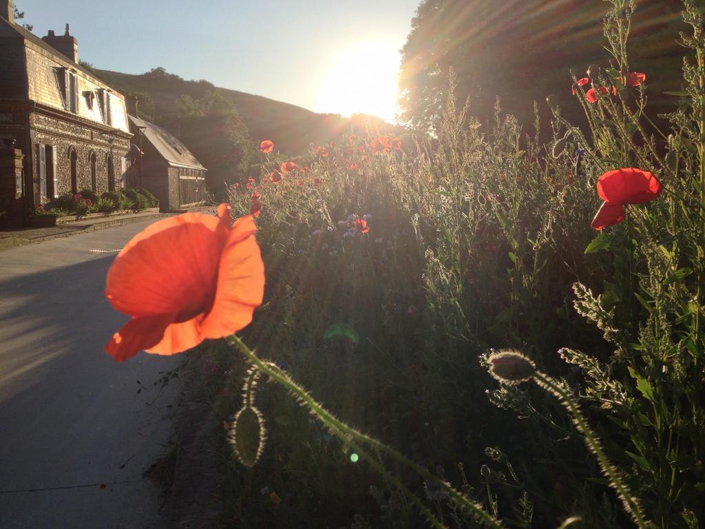La Flore De Lys, Cottage Ideal Pour 2 Adultes Et 2 Enfants Saint-Jouin-Bruneval Rom bilde