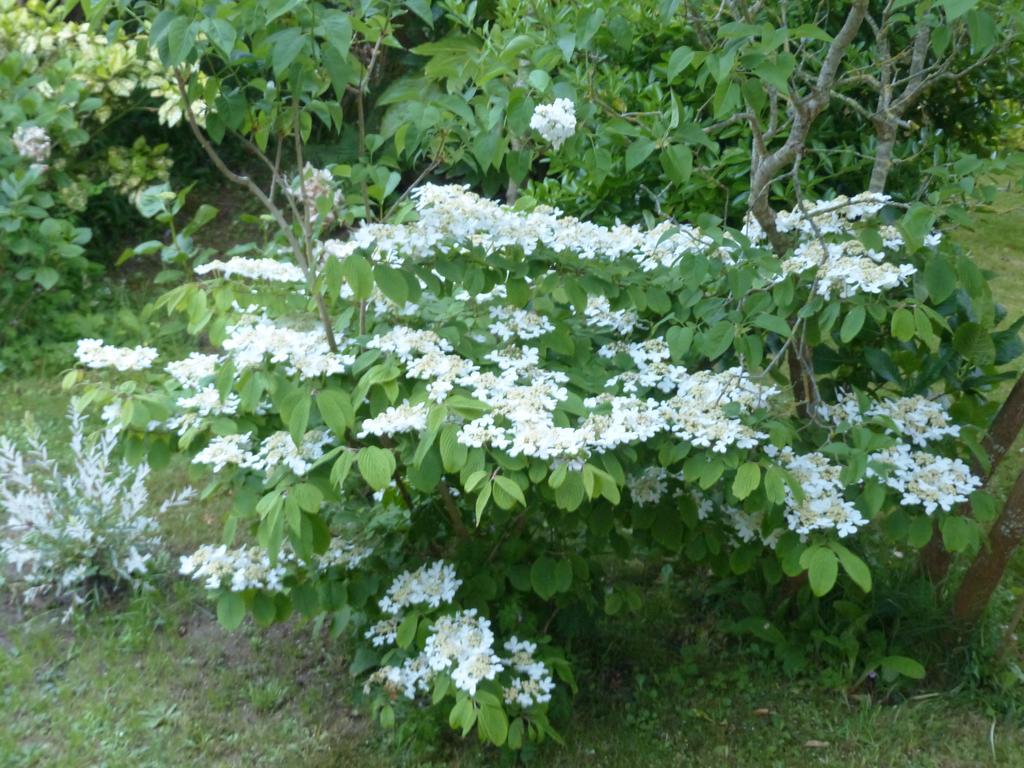 La Flore De Lys, Cottage Ideal Pour 2 Adultes Et 2 Enfants Saint-Jouin-Bruneval Rom bilde